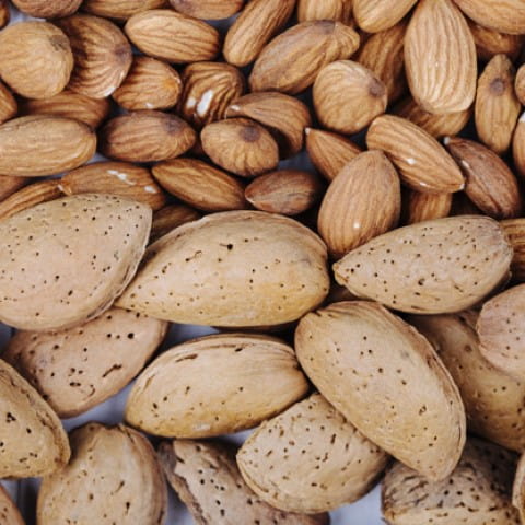 خرید و قیمت بادام مامایی صادراتی + فروش صادراتی